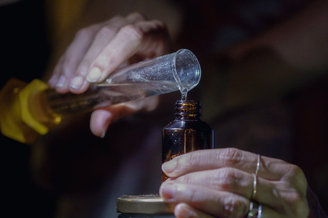 La Conexión Ancestral: Una Inmersión en la Sabiduría de las Plantas